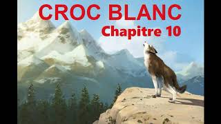 Croc Blanc  Livre Audio 🔈  chapitre 10  La servitude [upl. by Eintruok]