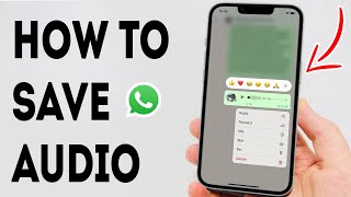 How To Save WhatsApp Audio In iPhone  Full Guide [upl. by Suez]