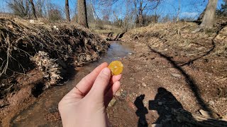 Arrowhead hunting along the Perkiomen Creek [upl. by Anileda]