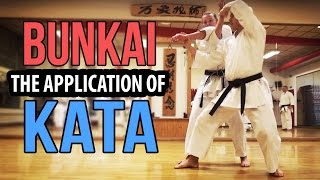 BUNKAI  The Practical Application of Karate Kata — Jesse Enkamp [upl. by Sadoff426]