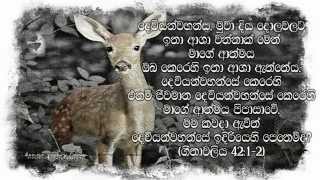 Diya Soyana Muwa Powwaku Se  Sinhala Christian Worship song [upl. by Pickford]