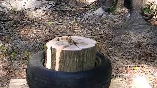 Splitting wood with a tire This trick saves a lot of work [upl. by Neras]