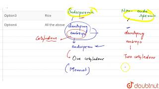 Which one is monocot albuminous seed [upl. by Maclay]