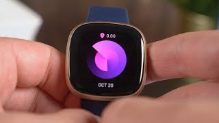 Fitbit Versa 3 2022  Still Worth The Buy [upl. by Derte]