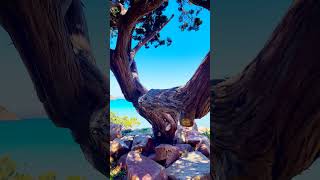 quot Cuore e Vento  Modà quot Dedica alla Sardegna  4K  Sardegna World [upl. by Anhcar]