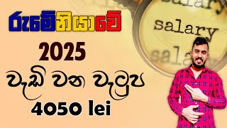 2025 සිට රුමේනියාවේ වැටුප් වැඩි වීම  Minimum wage and taxes in Romania 2025 🇷🇴 [upl. by Tecu593]