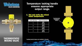 Thermostatic Mixing Valve [upl. by Carthy135]