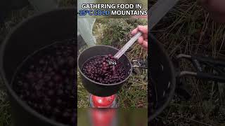 Gathering Food In Alaska  Solo Camping [upl. by Notsuh]