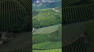 Barolo life winelovers piedmont dolcevita [upl. by Corena]