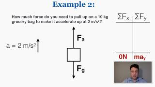 Newtons Second Law  IB Physics [upl. by Normalie]