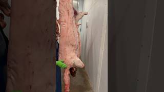 Butchering a Pig farming pasturedpork butcher [upl. by Husain]