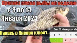 Прогноз клева рыбы на неделю с 8 по 14 Января 2024  Лунный Календарь рыбака январь 2024 [upl. by Can520]