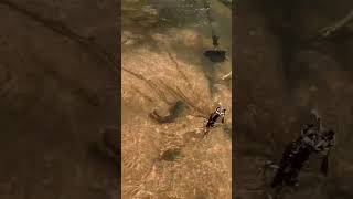 WILD WOMAN SHOOTS FISH WITH ARROW Epic Primitive Fishing Skills [upl. by Ytissahc137]