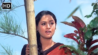 Nisdin Nisdin Mera Julmi Sajan  Annadata 1972  Lata Mangeshkar  Jaya Bachchan [upl. by Ynnatirb]