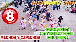 MACHOS Y CAPACHOS  ACOSTAMBO  FAMILIA ESPINOZA ROMERO DVD 8 [upl. by Aihtnic]