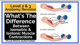 Whats The Difference Between Isometric and Isotonic Muscle Contractions [upl. by Suinuj]