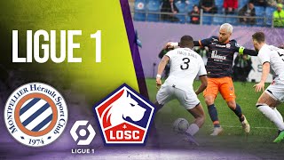 Montpellier vs Lille  LIGUE 1  HIGHLIGHTS  02122022  beIN SPORTS USA [upl. by Anette]