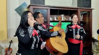 MARIACHIS EN GUAYAQUILCOMO TE PAGO0999 888 111 [upl. by Eric]