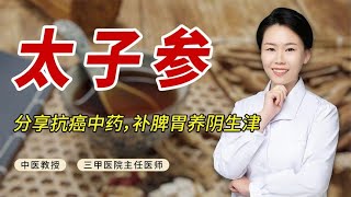 补脾胃养阴生津，分享抗癌中药太子参！但切勿与这种食物一起服用 [upl. by Slack]