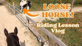 HORSE GETS LOOSE DURING OUR LESSON  Horse riding GoPro Lesson [upl. by Khano926]