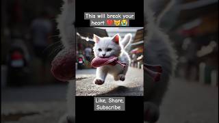 This will break your heart 😿💔😭 sad cat cuteanimal catstory song cattales mycat catscatscats [upl. by Lohse]