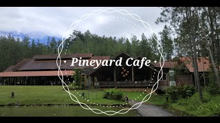 Cafe in a forest  Pineyard Cafe Janda Baik  世外桃源 [upl. by Laforge]