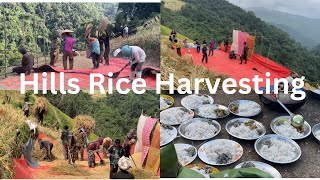 Tangkhul Naga jhumming ching lao harvesting 🌾 [upl. by Anahsat]