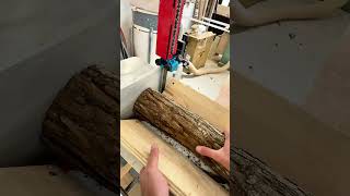 Safest approach for cutting live edge coasters [upl. by Pubilis329]