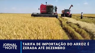 Três tipos de arroz têm tarifa de importação zerada até dezembro  Jornal da Noite [upl. by Statis]