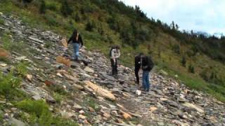 Walcott Quarry Hike [upl. by Enitsirk]