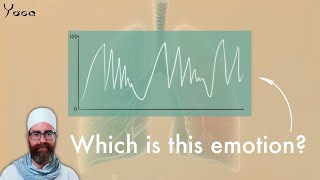 Breathing Patterns Paradoxical Breathing amp Retraining the Body [upl. by Arikihs]