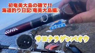 海道釣り日記 奄美編昼アラライブ！奄美大島の洗礼😫サヨナラゲンパオウ👋 [upl. by Haskell]