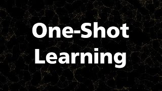 12 Oneshot learning for teaching neural networks to classify objects never seen before [upl. by Sheeran]