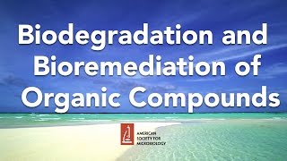 Biodegradation and Bioremediation of Organic Compounds by Lawrence Wackett PhD [upl. by Idona485]