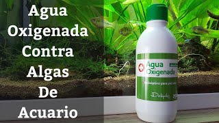 🔵 Agua Oxigenada Para El Acuario Para Eliminar Algas Acuarios MB [upl. by Roderic]