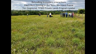 Wildlife Diversity Webinar Series  Recovering Blackland Prairie in Ellis County [upl. by Weil819]