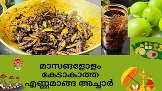 Enna manga achar  Mango pickle in Malayalam  അസാധ്യ മണവും രുചിയുമുള്ള എണ്ണമാങ്ങാ ആച്ചാർ [upl. by Ymerej]