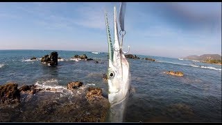 Fishing in Troncones Mexico near Zihuatanejo and Ixtapa [upl. by Padget]