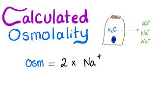 Calculated Osmolality [upl. by Inuat]