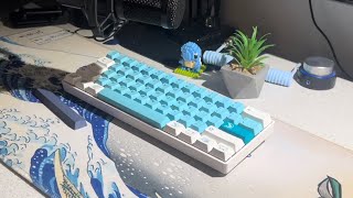 Gateron Pro Yellow Milky PBT Cherry Iceberg CIY61  ASMR [upl. by Ortrude]