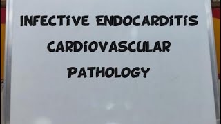 Infective endocarditis cardiovascular pathology part 2 [upl. by Aihsein]