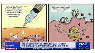 Doctors Immune Cartoons explain how COVID vaccine works [upl. by Lennad425]