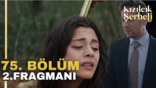 Kızılcık Şerbeti 75 Bölüm 2 Fragman  O Bebeğimizi Hemen Aldıracaksın Doğa [upl. by Hurleigh]