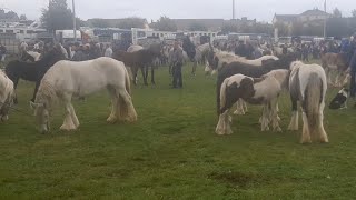 Ballinasloe horse fair 2022 Great crowd great weather great to be back [upl. by Lionel]