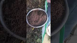 Vermicompost  🪱🪱🪱🪱Vermicompost unit organic farming jaivik kheti [upl. by Cuthbertson]