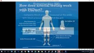 How to perform a full arterial study with PADnet [upl. by Navi]