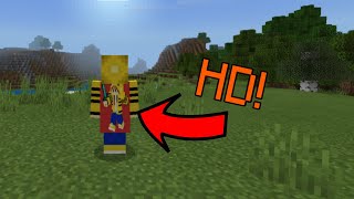 Minecraft Bedrock Edition  HD Capes Preview [upl. by Qulllon]