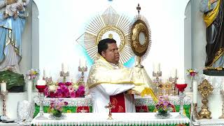 Day 8Maranatha Come Lord Jesus Come Morning Blessing and Word ofr God  Fr Jose Palliyil [upl. by Leal639]