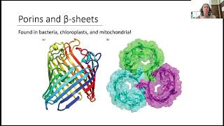 Lipid Bilayer 5 [upl. by Lukasz]