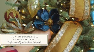 How to Decorate a Christmas Tree Professionally with Brad Schmidt [upl. by Aihsemot]